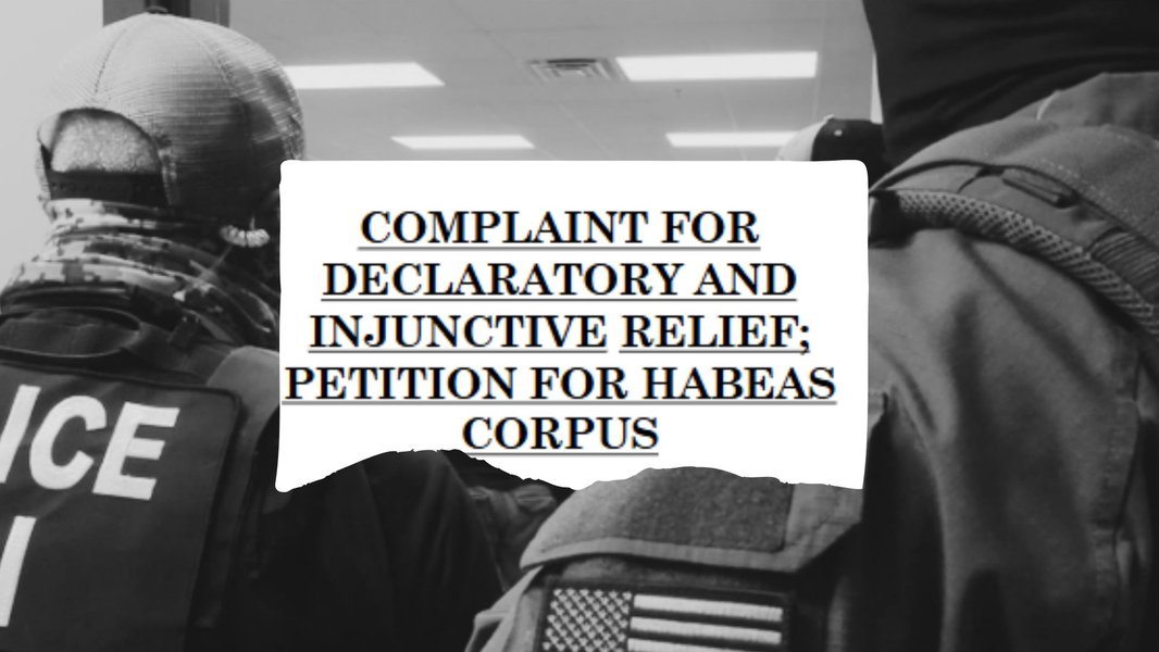 Petitions for habeas corpus, a civil lawsuit to challenge unlawful detention, have skyrocketed amongst immigration detainees.